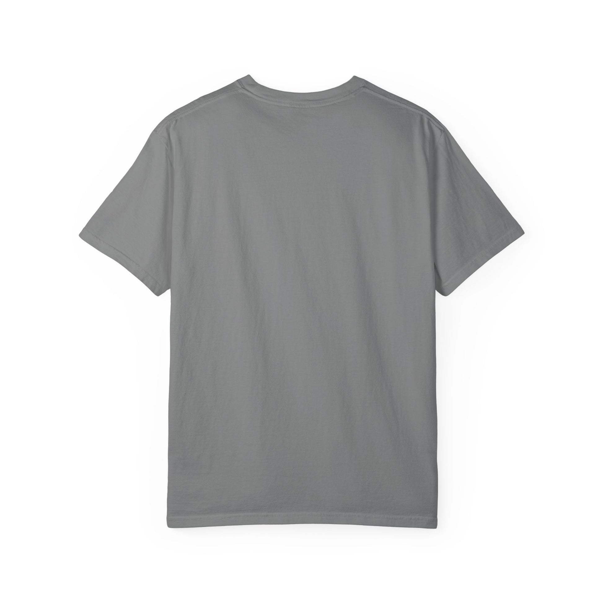 Eagle Graphic T-Shirt — “Rally on the Eagle” Vintage Wildlife Tee