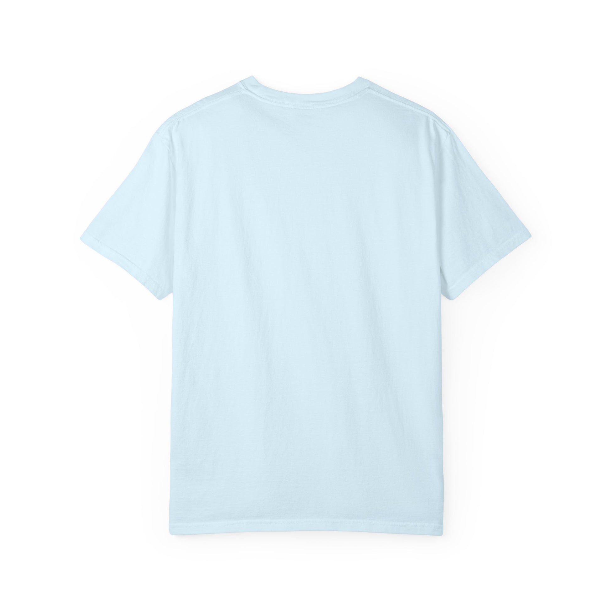 Eagle Graphic T-Shirt — “Rally on the Eagle” Vintage Wildlife Tee