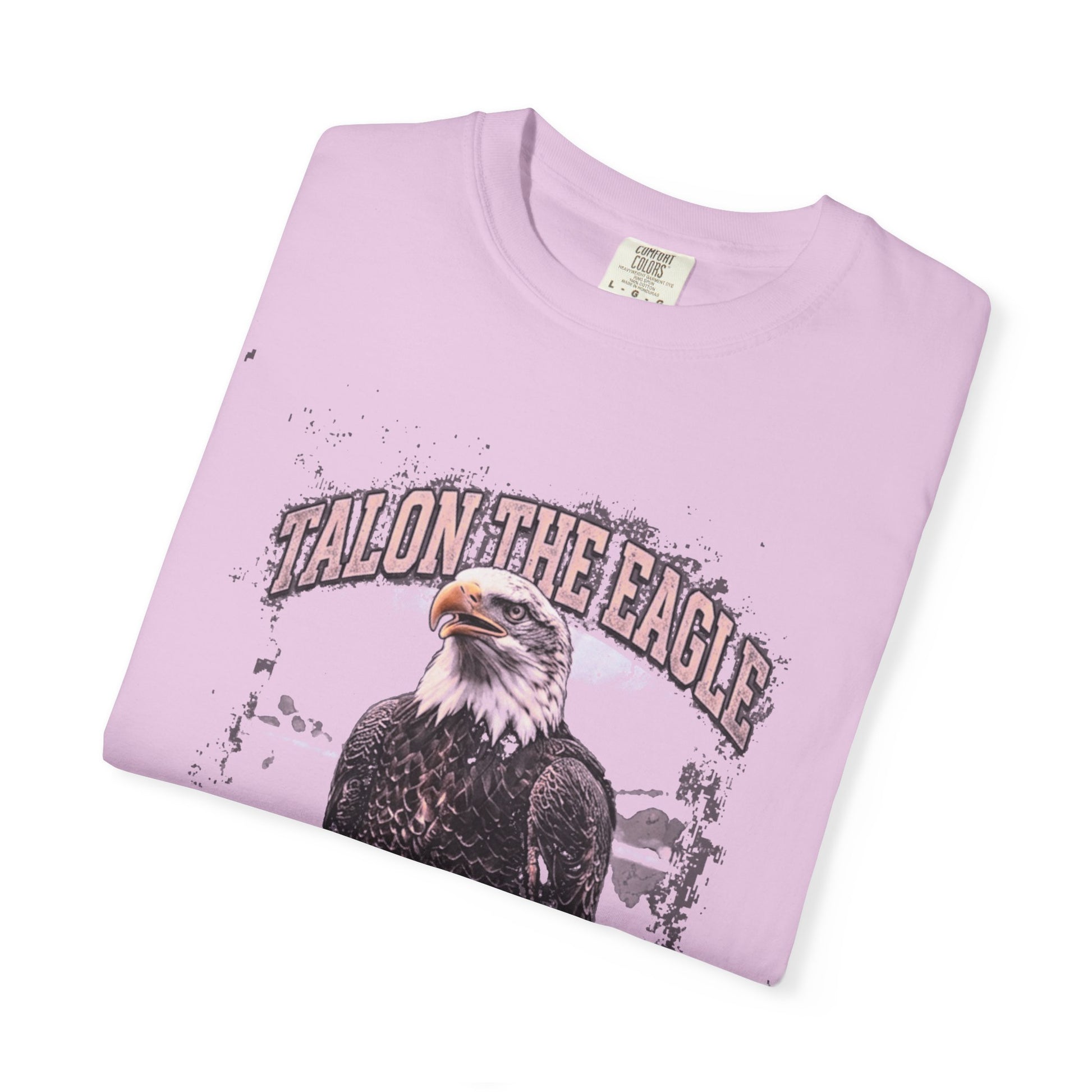 Eagle Graphic T-Shirt — “Rally on the Eagle” Vintage Wildlife Tee