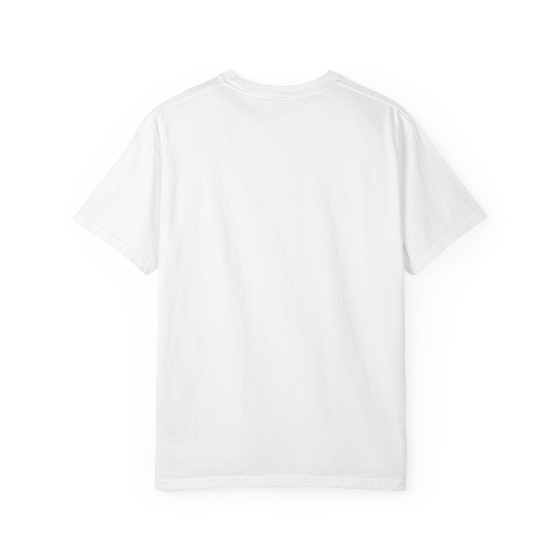 Eagle Graphic T-Shirt — “Rally on the Eagle” Vintage Wildlife Tee